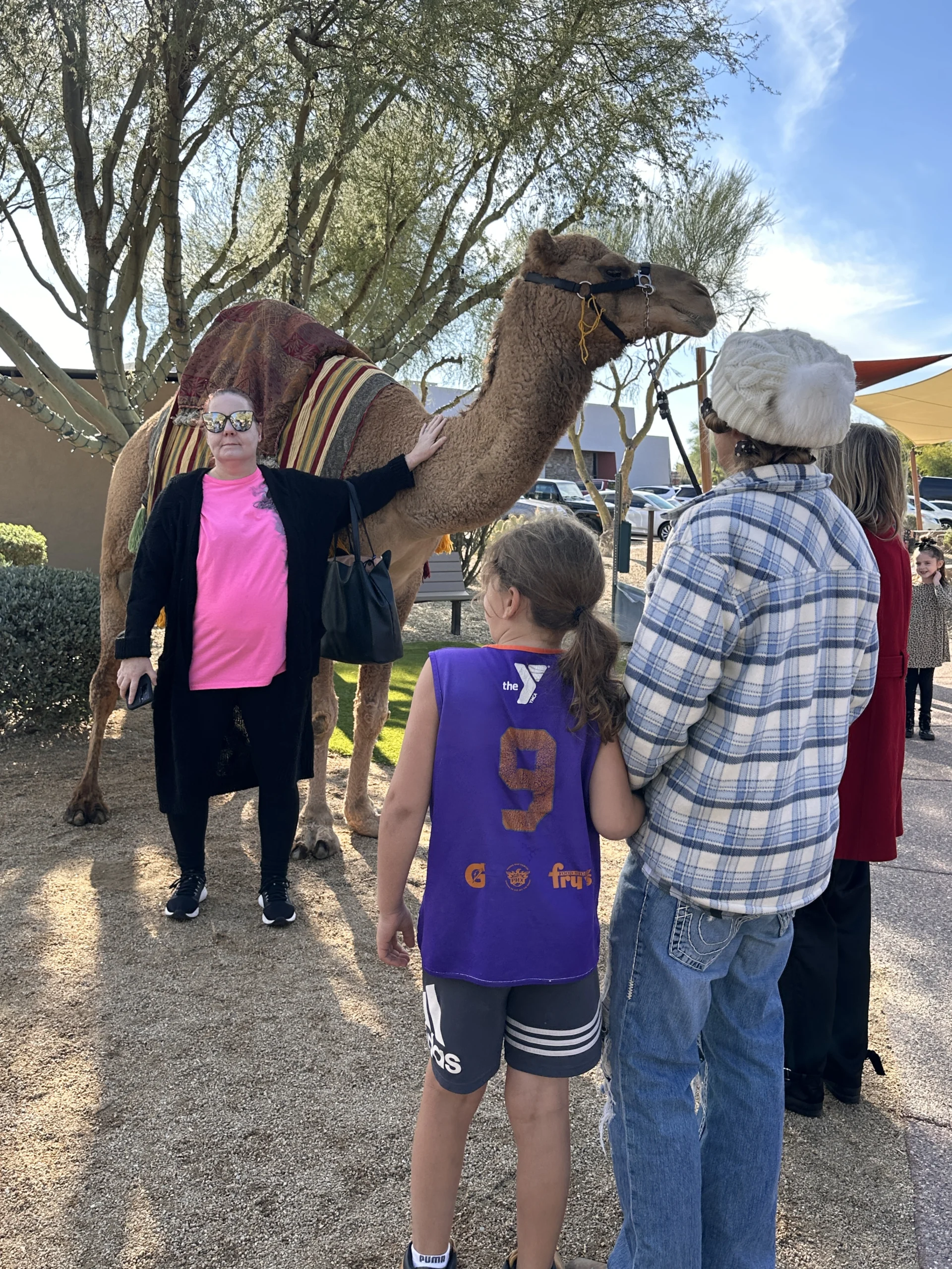 IMG_0671 zeke the camel