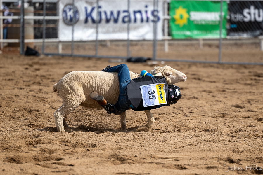 Mutton Bustin